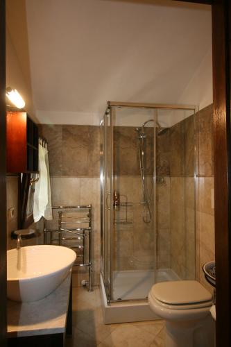 a bathroom with a shower and a toilet and a sink at Il Mulino del Rigualdo in Torniella