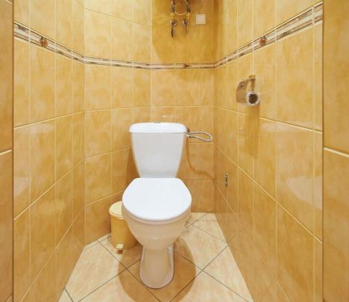 a bathroom with a toilet and a shower at Cozy Apartment in Gothic style house in the Heart of the Old Town in Vilnius