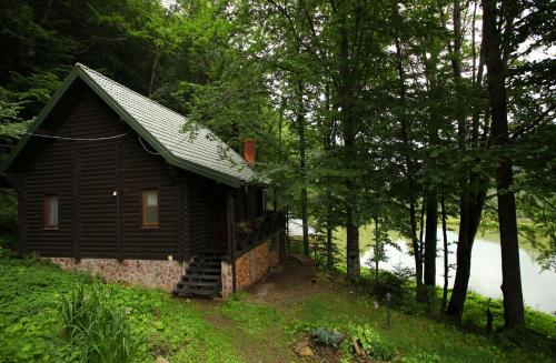 a small house in the woods next to a lake at Vilni Vitry in Osmoloda