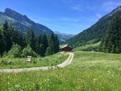 a dirt road in a field with mountains in the background at Chalet Marmotte 2 in Morzine