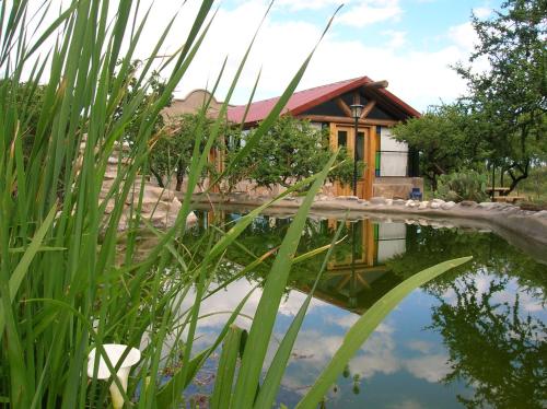 a house with a pond in front of it at Posada Los Antiguos-Adults Only in Merlo