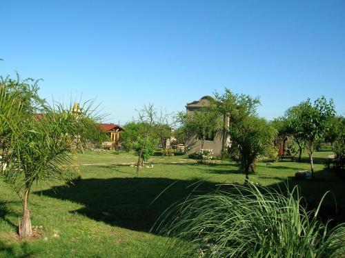 a green yard with trees and a house at Posada Los Antiguos-Adults Only in Merlo