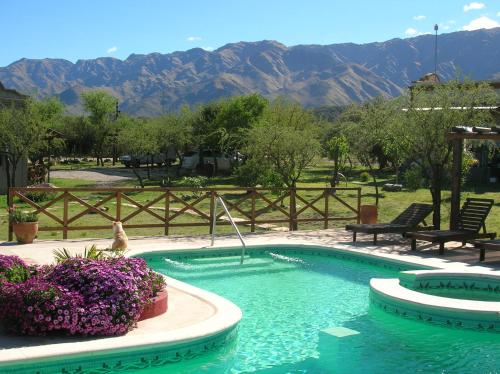 a swimming pool with flowers and mountains in the background at Posada Los Antiguos-Adults Only in Merlo