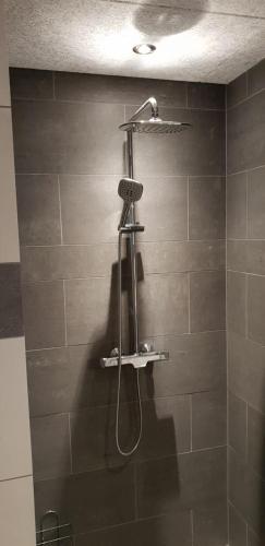 een douche met een douchekop in de badkamer bij Surf And Family Sauna And Spa in Hvide Sande