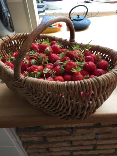 un panier rempli de fraises assises sur un comptoir dans l'établissement Maison priveé, à Wimille
