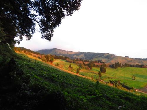 a green field with trees and mountains in the background at Rancho Amalia in Naranjo