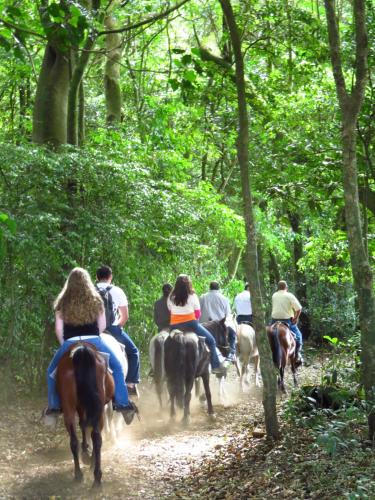a group of people riding horses down a trail at Rancho Amalia in Naranjo