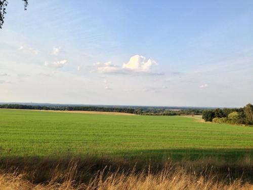 a field of green grass with a blue sky at Erlebniscamping Lausitz - Campingplatz Ortrand / Camping Dresden in Ortrand