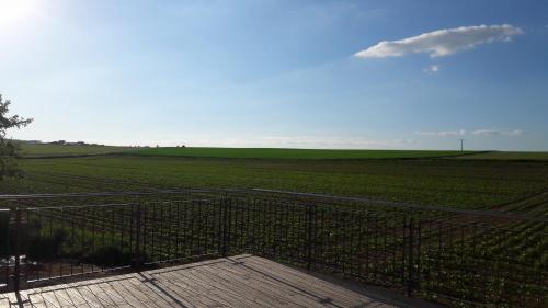 vistas a un campo verde con una valla en Gästehaus Hubertushof - 24h Check-In, en Hausen