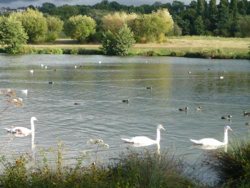 Photo de la galerie de l'établissement Villers sur Mer, à Villers-sur-Mer