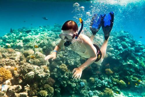 Una mujer con una máscara de buceo en un arrecife de coral en Khách sạn QUỲNH ANH en Ly Son