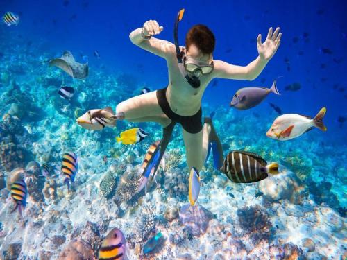a woman swimming in the ocean with fish at Khách sạn QUỲNH ANH in Ly Son