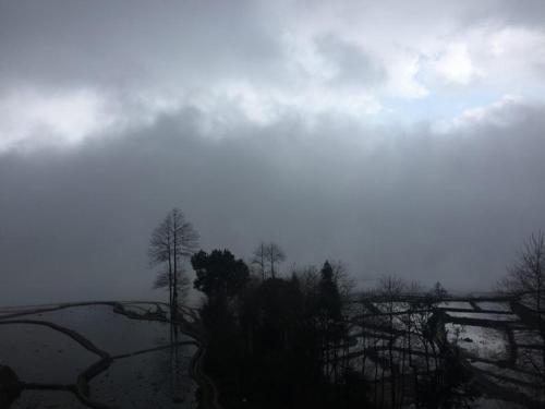 a foggy field with trees and trees on a hill at Beyond the Terrace Residence in Yuanyang