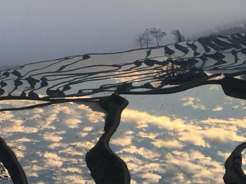 a reflection of a sky in a body of water at Beyond the Terrace Residence in Yuanyang