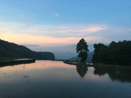a river with a tree in the middle of it at Beyond the Terrace Residence in Yuanyang