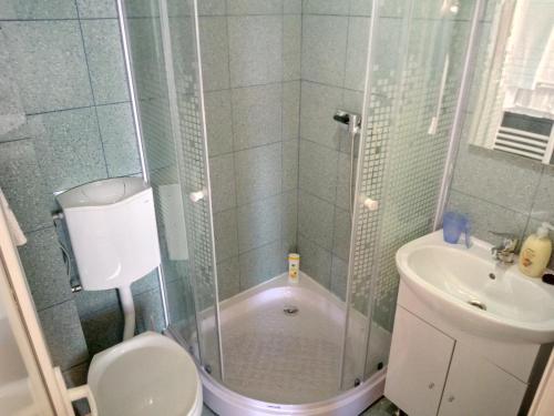 a bathroom with a shower and a toilet and a sink at Camere De Inchiriat Carpati in Hunedoara