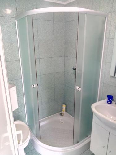 a shower with a glass door in a bathroom at Camere De Inchiriat Carpati in Hunedoara