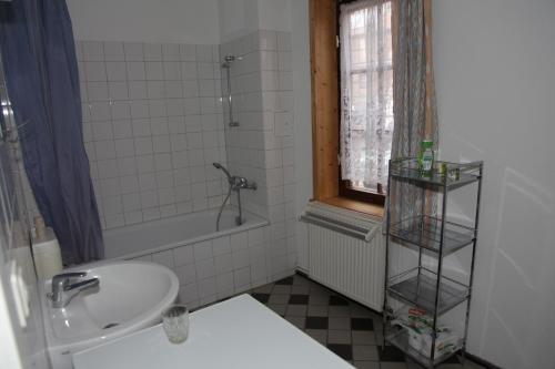 ein Bad mit einem Waschbecken und einer Dusche in der Unterkunft Ferienwohnung im Stieg 4 in Quedlinburg