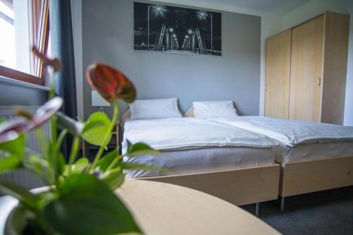 um quarto com uma cama e uma mesa com uma planta em Hotel am Ring em Magdeburg