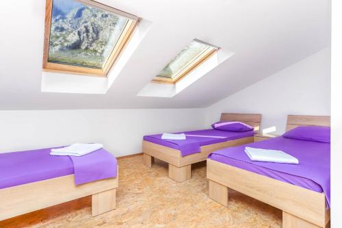 two beds in a room with purple sheets and windows at JR Luxury Apartment in Kotor