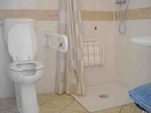 a bathroom with a white toilet and a shower at Locanda Contrada dei Fattori in Cairo Montenotte
