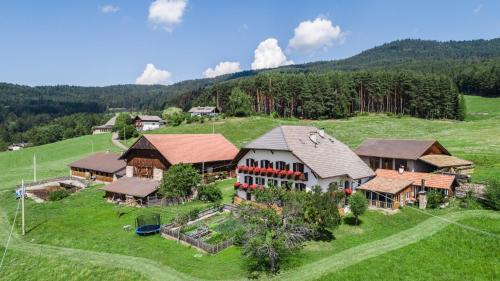 eine Luftansicht eines Hauses auf einem Hügel in der Unterkunft Schartnerhof in Klobenstein