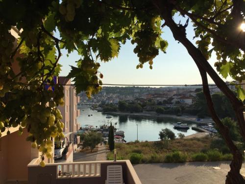 Apartments Villa Zica