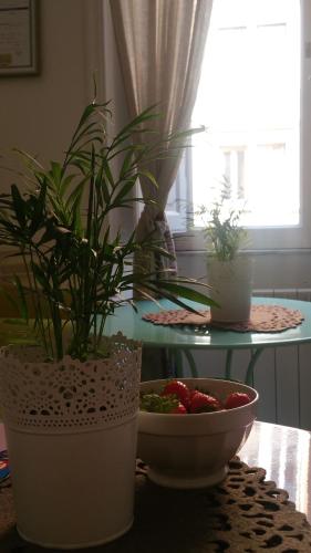ローマにあるイルモンド ディ アメリアの鉢植えの植物2本と果物1杯