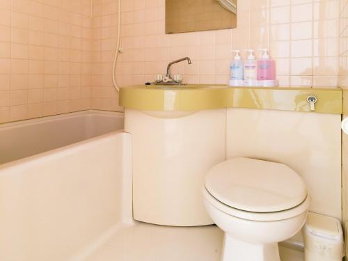 ein Badezimmer mit einem WC, einem Waschbecken und einer Badewanne in der Unterkunft Hotel AreaOne Fukuyama in Fukuyama