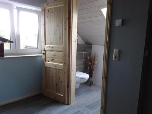 a bathroom with a toilet and a window at Birkenhainring 34 in Trassenheide