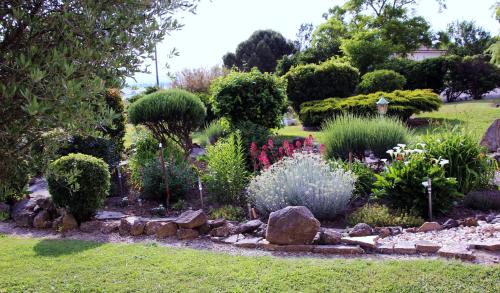 a garden with many different plants and flowers at Domaine de la Pendule in Issel