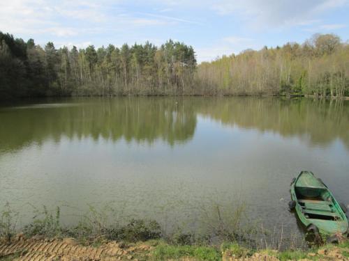 a green boat sitting in the middle of a lake at Florennes Gîte neuf 150 M2 devant un grand lac privé de 2 hectares poissonneux au milieu des bois in Florennes