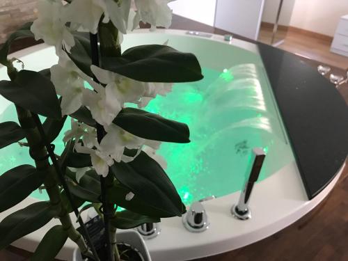 a vase with white flowers in front of a swimming pool at Suite & Relax in Conversano
