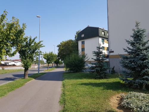 Apartment Petra – Photos 2