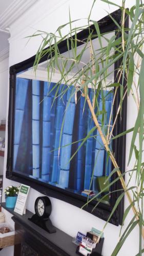 a tv sitting on top of a table with a plant at Bamboo Guesthouse in Bournemouth