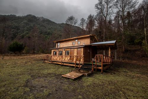 Casa Arbol – Photos 2