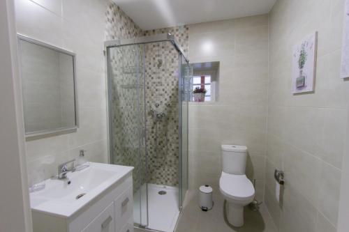 ein Bad mit einem WC, einem Waschbecken und einer Dusche in der Unterkunft Casa dos Avós in Villa Nogueira