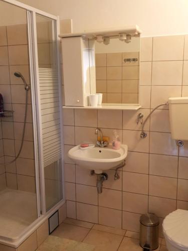 La salle de bains est pourvue d'un lavabo et d'une douche. dans l'établissement Kuća za odmor Mile, à Drniš