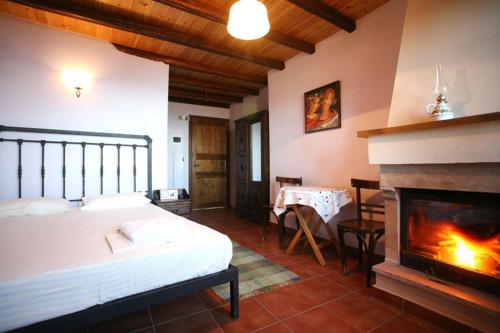 a bedroom with a bed and a fireplace at To Xani in Palaios Panteleimon