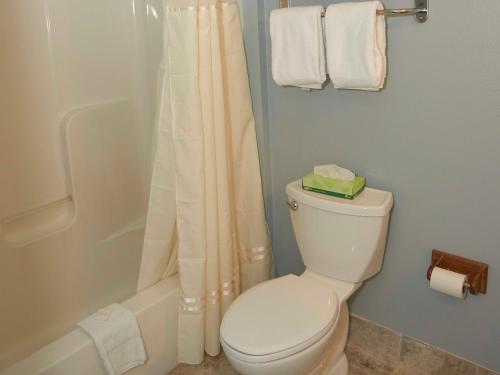 a bathroom with a white toilet and a shower at Sandwich Lodge & Resort in Sandwich