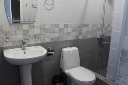 a bathroom with a sink and a toilet and a mirror at Sighnaghi Inn in Sighnaghi