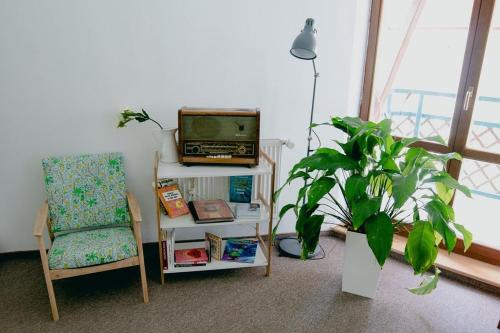 a living room with a tv and a chair and a plant at Penzión Salamander in Mlynky 
