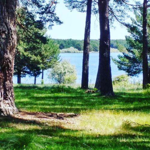a path in the grass next to trees and water at El Mirador de Molinos in Molinos de Duero