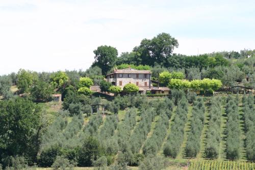 a house in the middle of a field of trees at Agriturismo Oliveto di Geltrude Contessa in Amelia