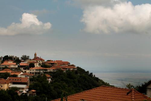 a village on top of a hill with houses at Sighnaghi Inn in Sighnaghi