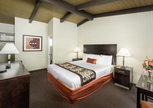 Pokój hotelowy z łóżkiem i biurkiem w obiekcie Thunderbird Lodge w mieście Redding