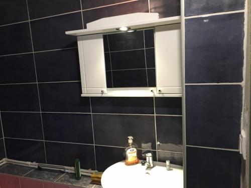 a bathroom with a sink and a mirror at Eco Camp Dzogaska Vrela in Pljevlja