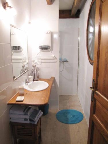 y baño con lavabo y ducha. en Ecrin du Ségala en Tauriac-de-Naucelle