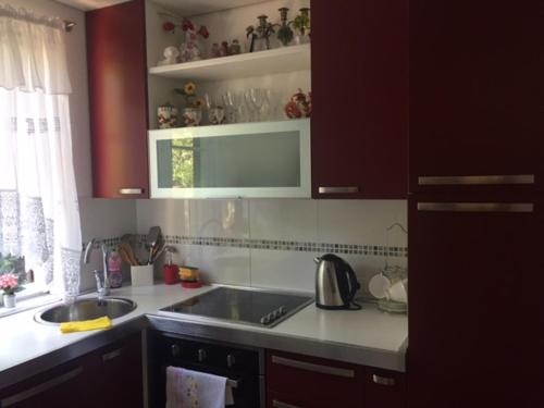 Kuchyň nebo kuchyňský kout v ubytování Apartment Botanicheskiy Sad