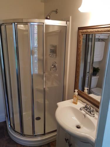 a bathroom with a shower and a sink and a mirror at Hellemsfield Inn & bed and breakfast in Kingsville